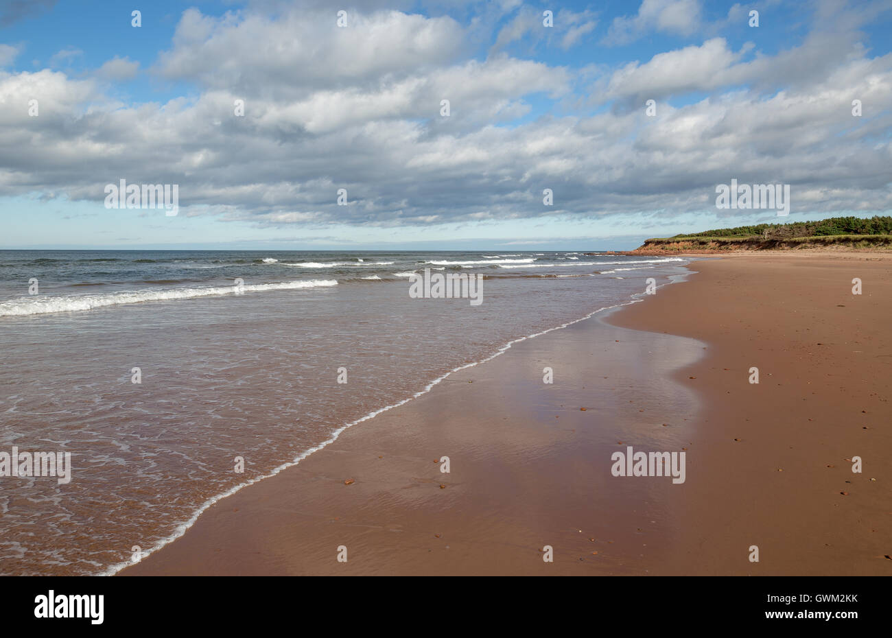 Plages et côtes de l'Île du Prince Édouard. Golfe du Saint-Laurent. Banque D'Images