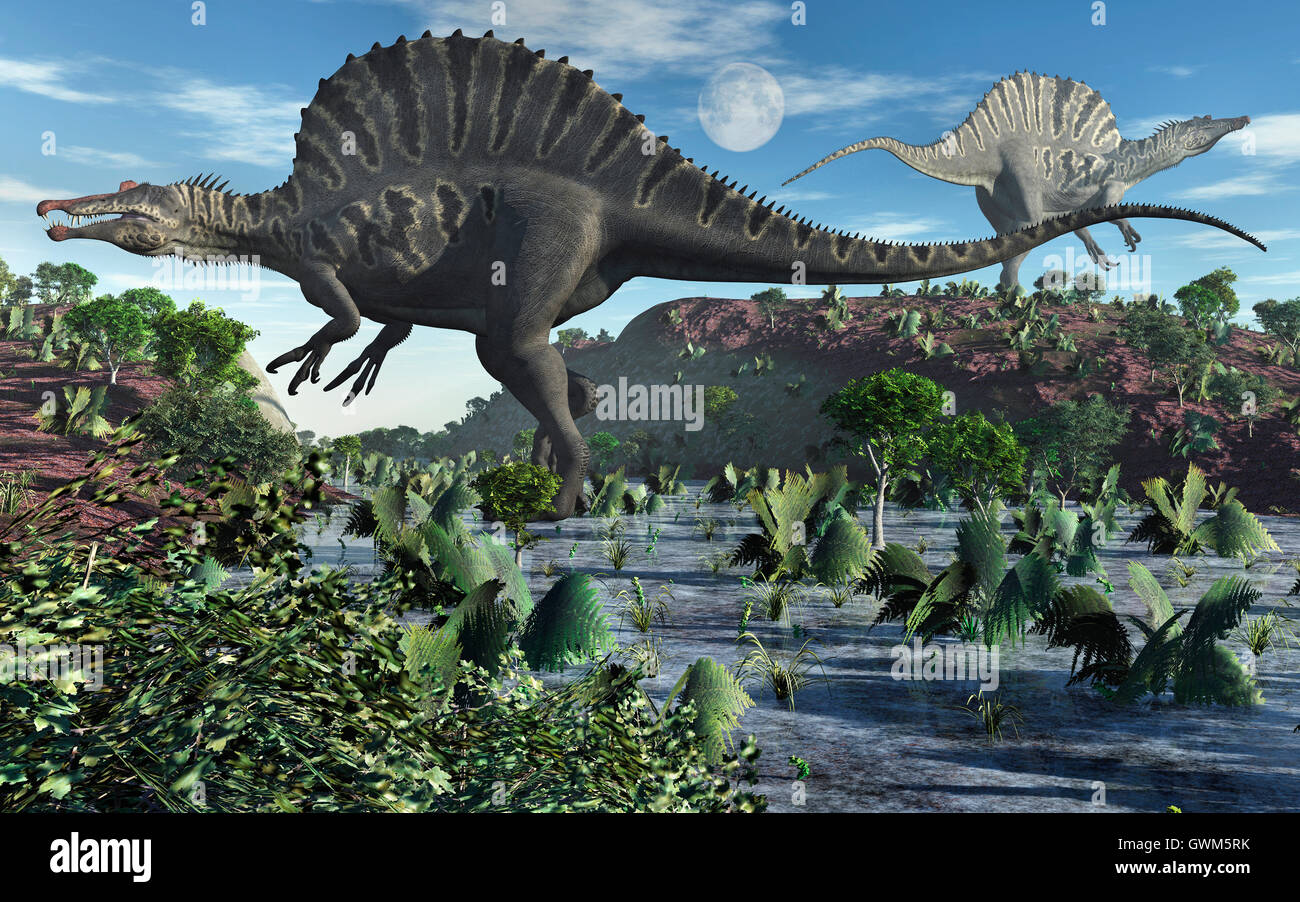 Dinosaures Spinosaurus carnivores Banque D'Images