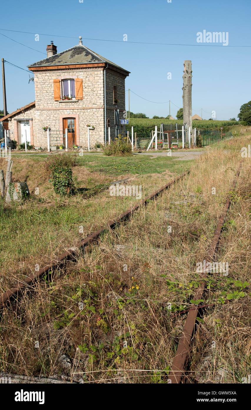 Rythme près de Alencon France - voie de chemin de fer désaffectée avec rails rouillés et couvert de gazon et les mauvaises herbes Banque D'Images