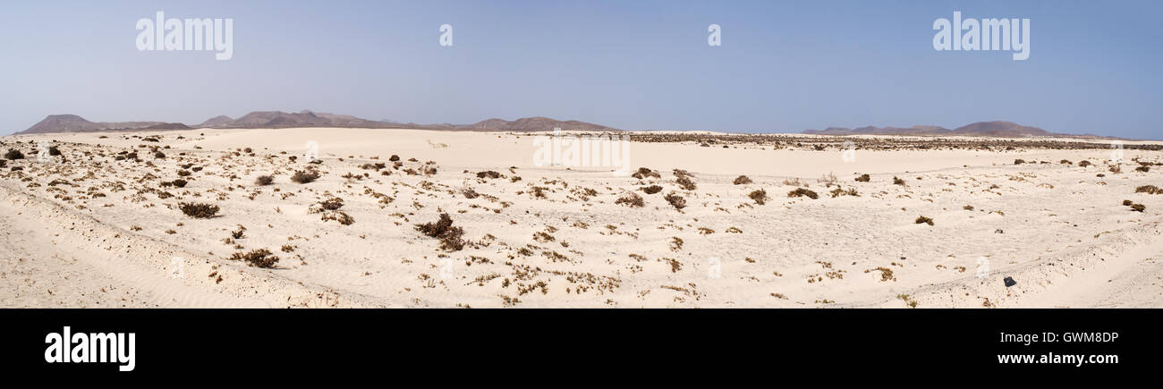 Fuerteventura : sand dunes national park, une zone protégée de 11 kilomètres de long avec des dunes de sable formées par le sable du désert du Sahara Banque D'Images