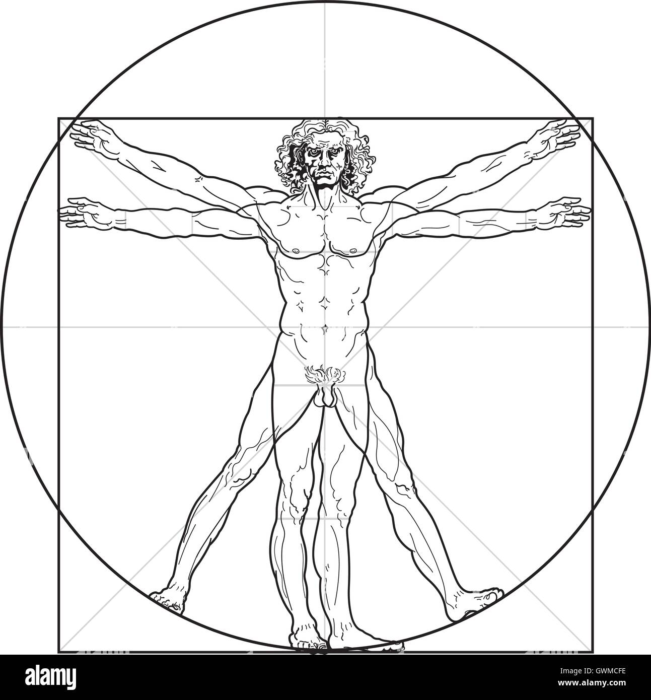 L'homme de Vitruve (contours version) Illustration de Vecteur
