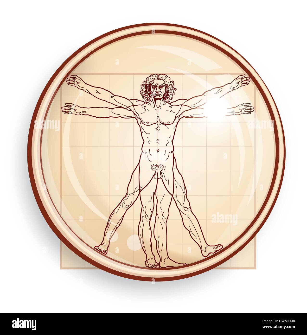 L'homme de Vitruve (sous microscope) Illustration de Vecteur