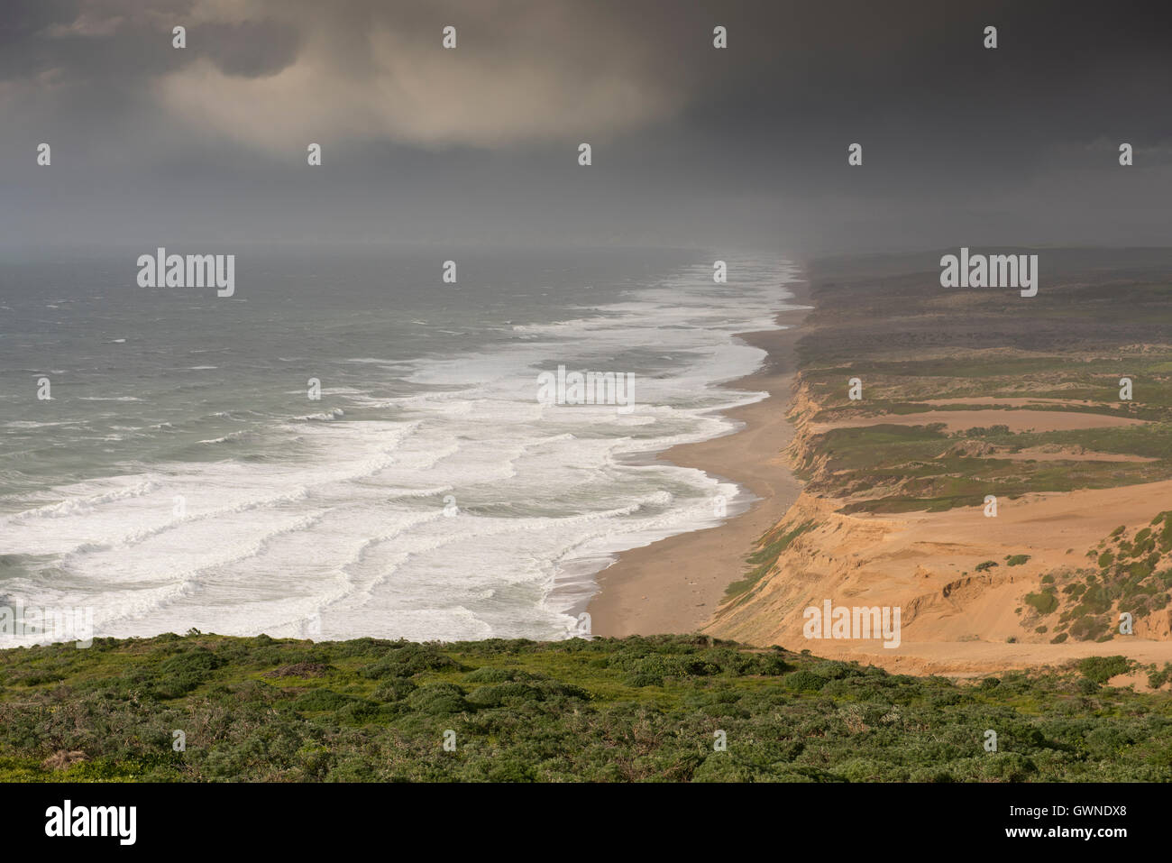 Vue sur la côte ouest des USA, comme vu du Point Reyes Lighthouse, regardant vers le nord le long de la plage de Point Reyes. Banque D'Images