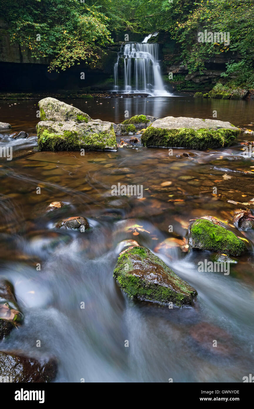 Chutes de West Burton (ou chaudron Falls), Wensleydale, Yorkshire Dales National Park, England, UK Banque D'Images
