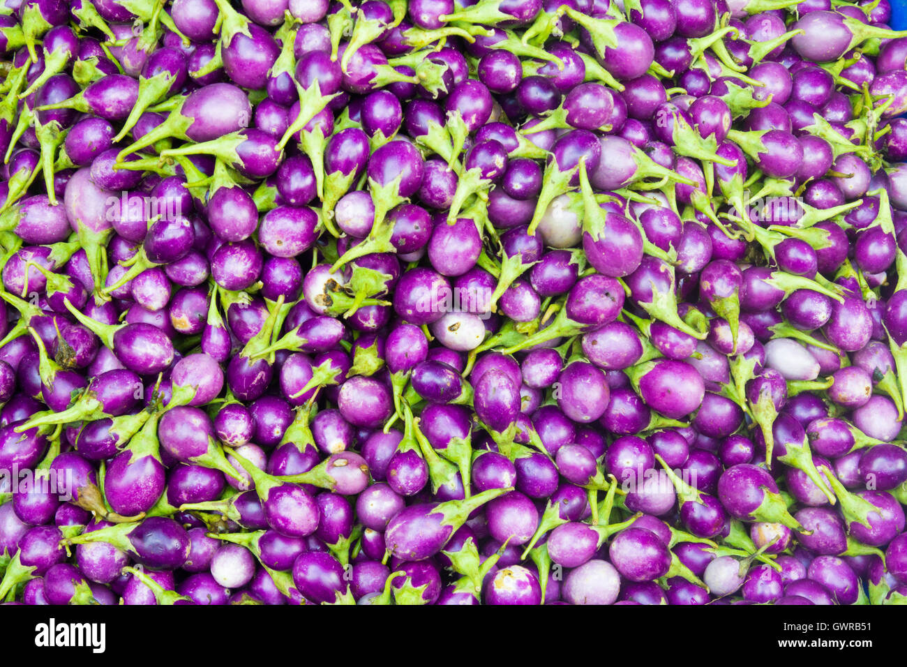 Les aubergines violet en vente sur une échoppe de marché sur les marchés traditionnels de khlong toei, Bangkok, Thaïlande Banque D'Images