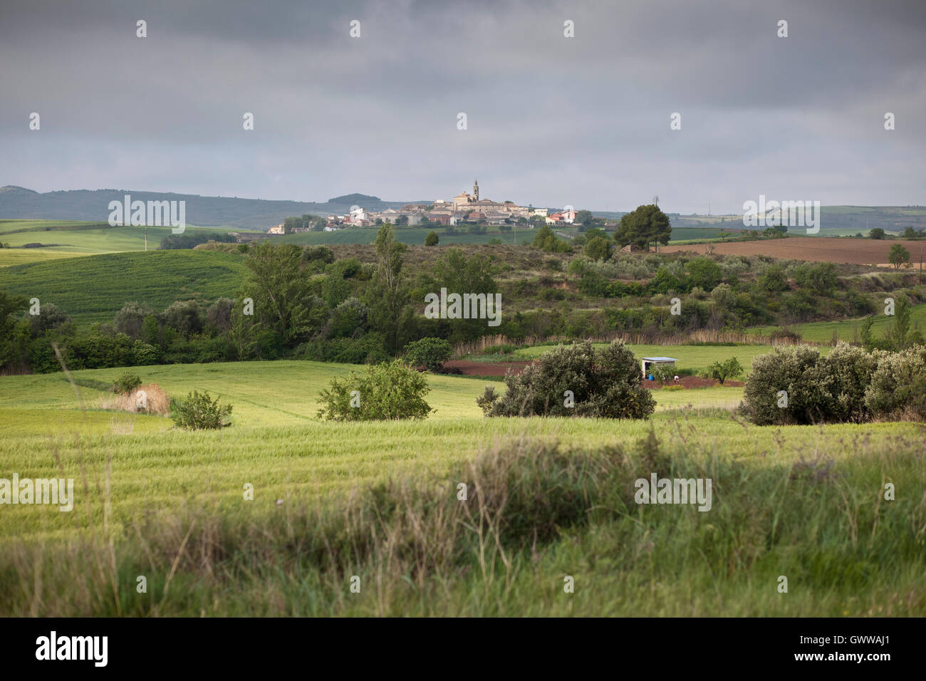 Vue sur le village à travers champs le long du chemin de Saint Jacques, route Frances Banque D'Images