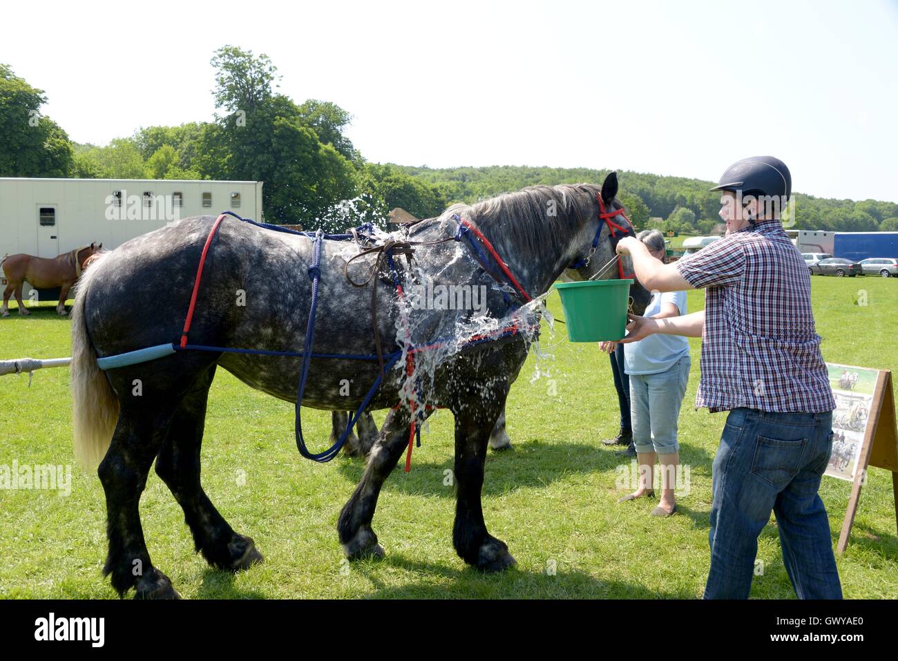 Heavy Horse Show à le Weald & Downland Open Air Museum de Chichester, West Sussex avec : Martin Kerswell Où : Chichester, Royaume-Uni Quand : 05 Juin 2016 Banque D'Images