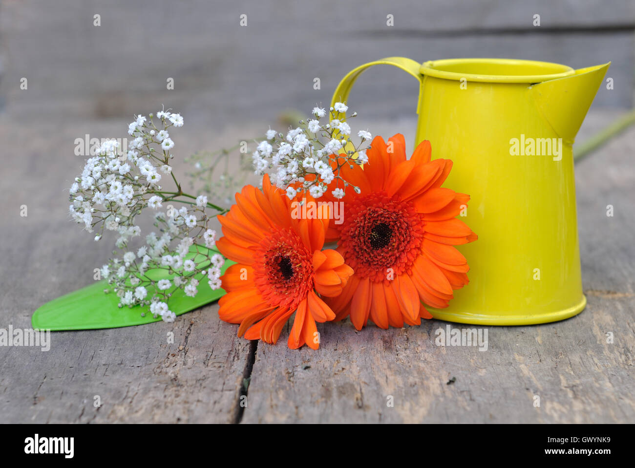 De jolies fleurs sur un fond de bois coloré avec l'outil et peut Banque D'Images