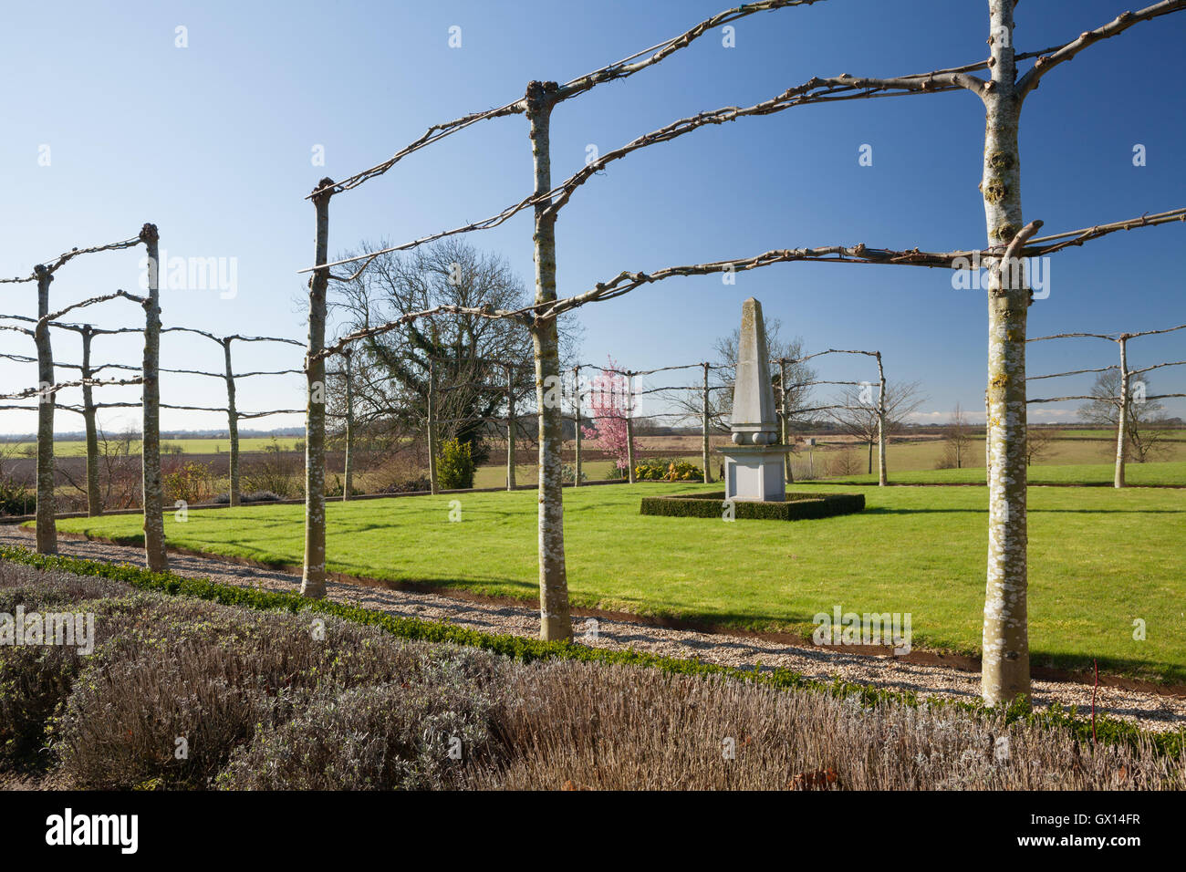 Obélisque de pelouse à pied de lavande. Jardins de Brightwater, Saxby, Lincolnshire, Royaume-Uni. L'hiver, février 2016. Banque D'Images