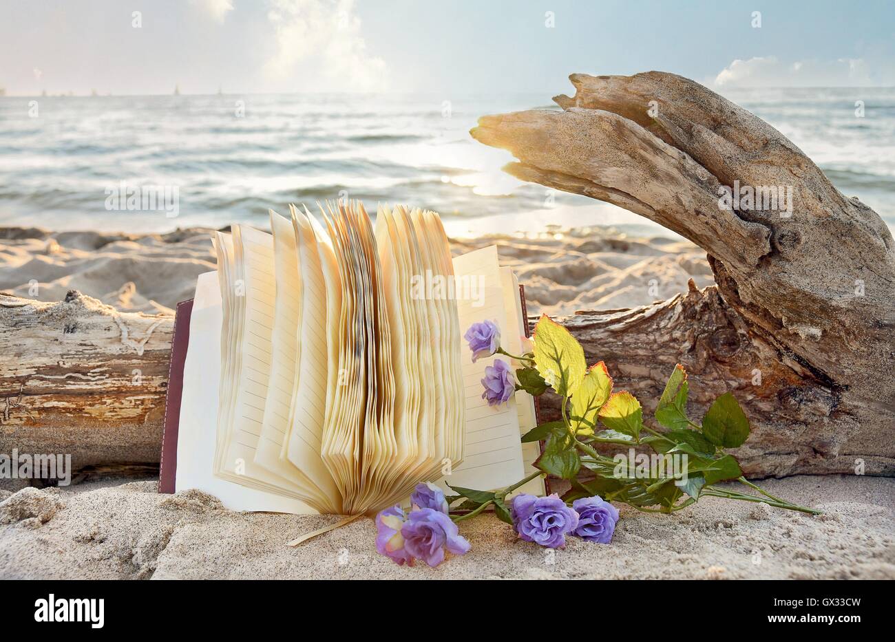 Open Journal et purple roses sur plage avec driftwood log Banque D'Images