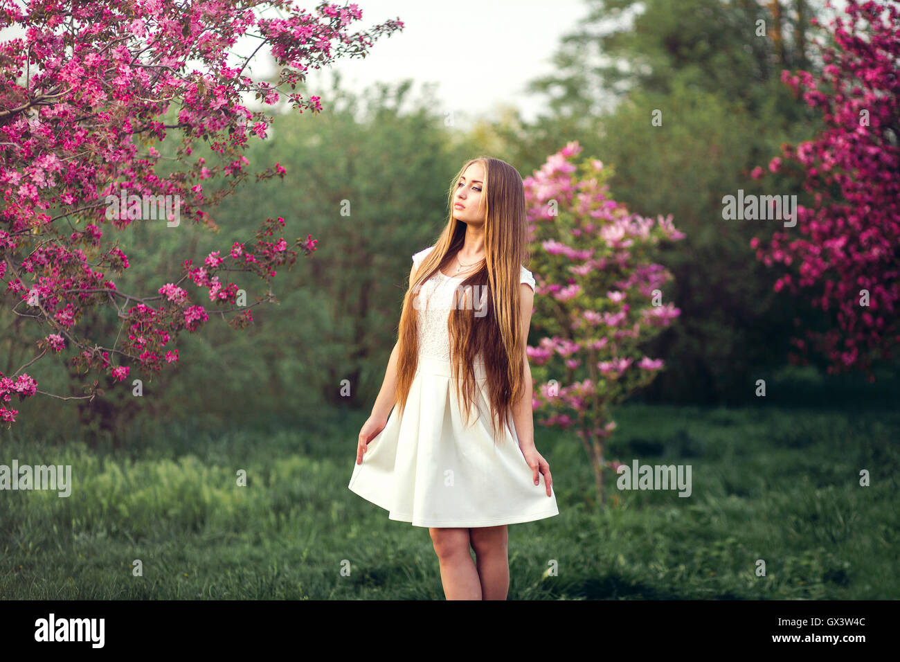 Belle fille blonde en rose pêche et sakura garden. L'extérieur femelle printemps portrait, jeune femme avec du green concept Blossom Park Banque D'Images