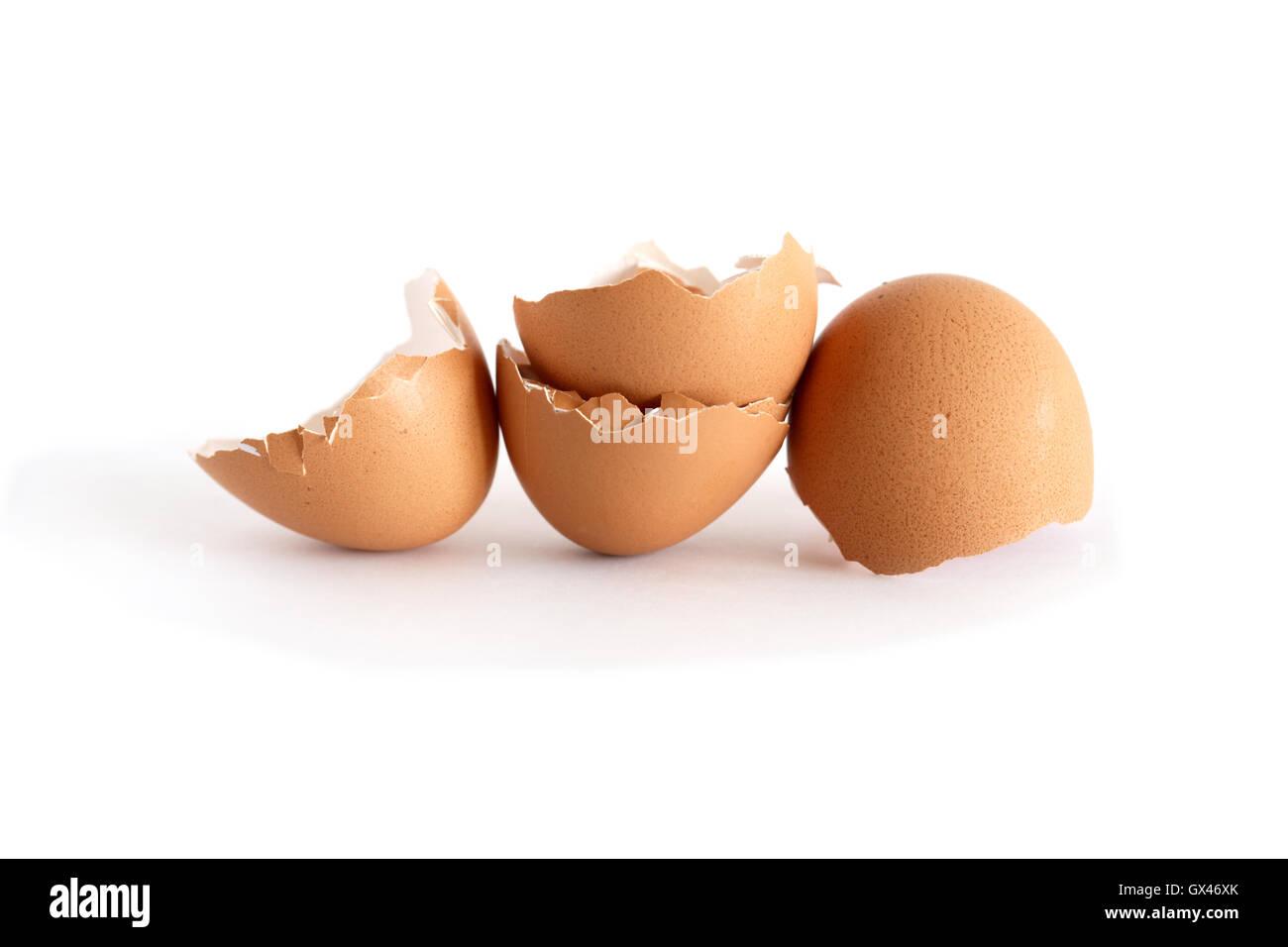 Blanc sur la coquille Banque D'Images