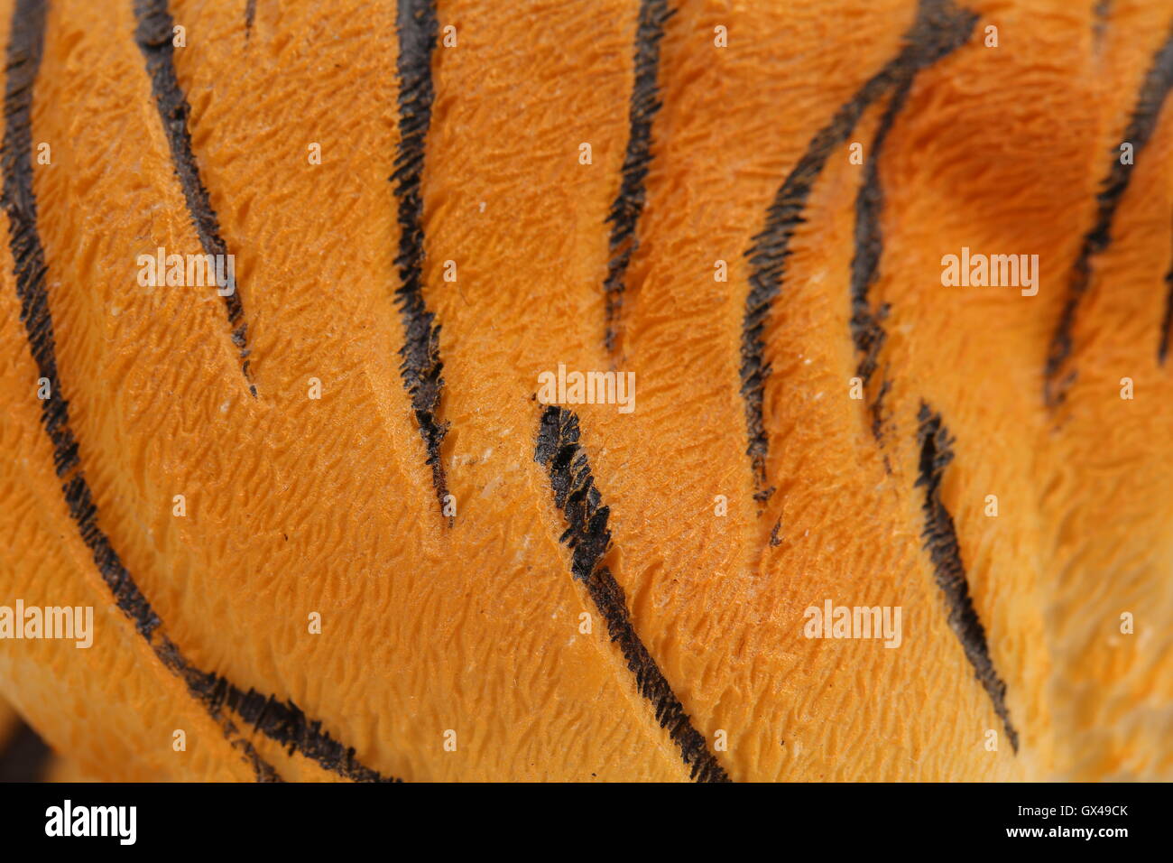 La peau artificielle de tigre. Banque D'Images