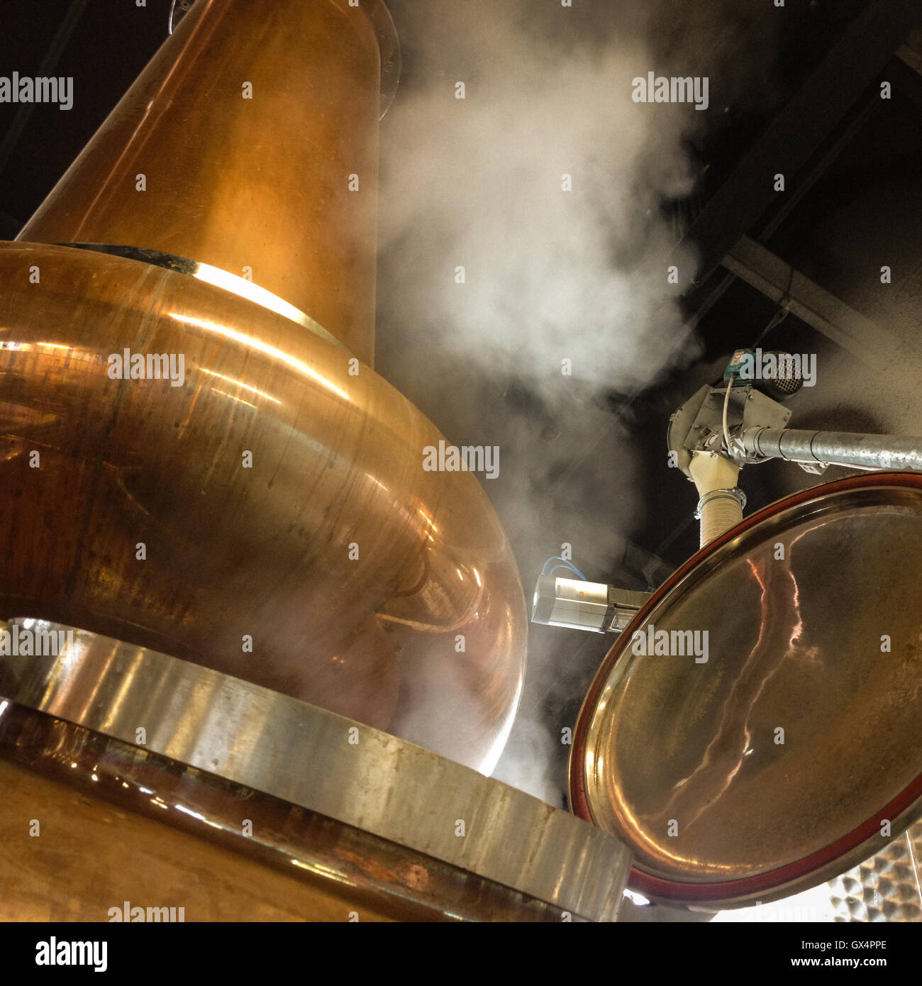 Décisions à la Glasgow whisky Distillery Company, à Hillington, à Glasgow, Ecosse Banque D'Images