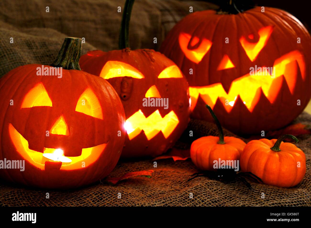 Groupe de Spooky Halloween Jack o lanterne éclairée la nuit Banque D'Images