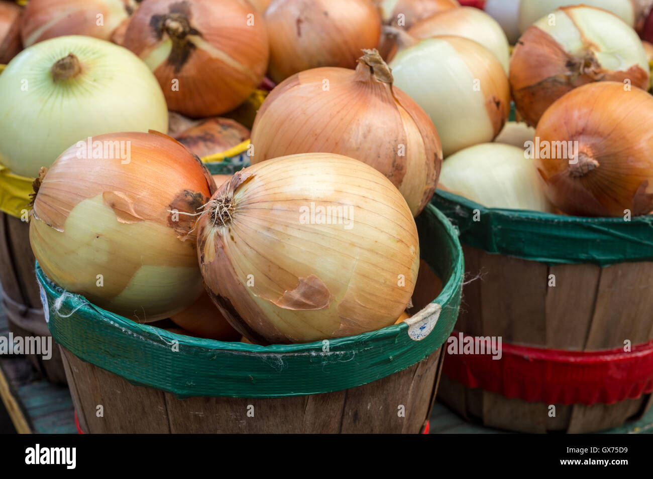 Oignons jaunes dans des paniers au marché Banque D'Images