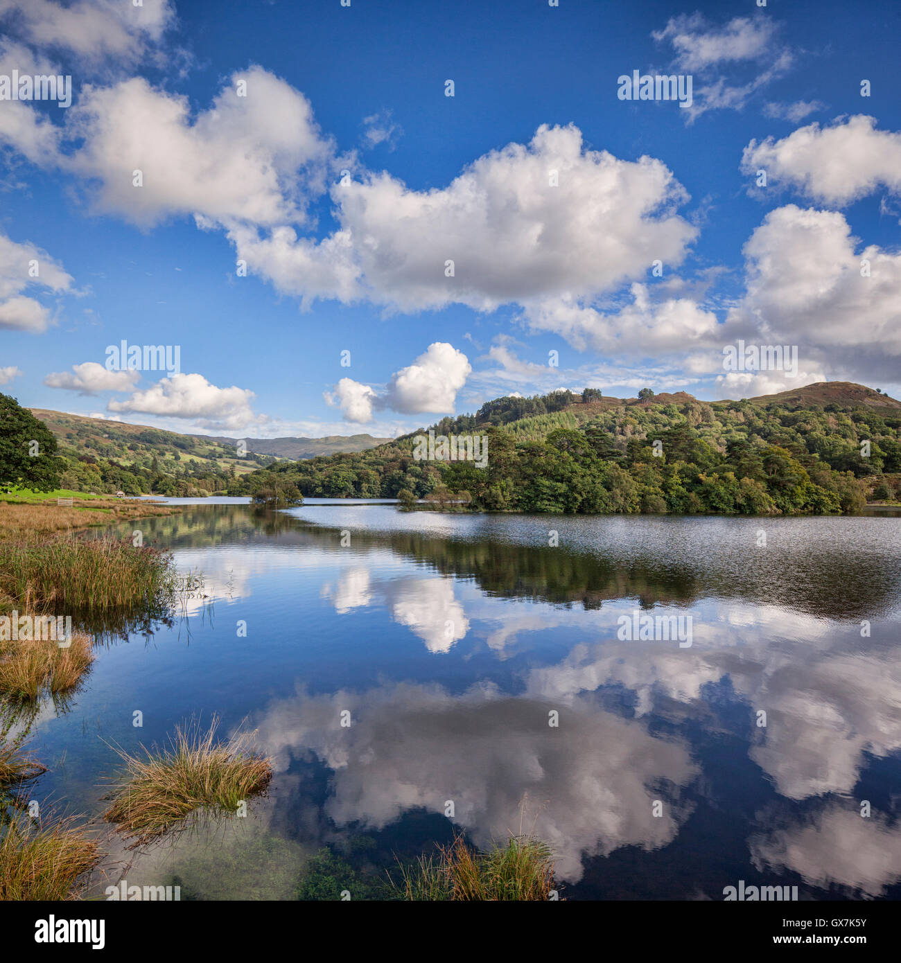 Réflexions à Rydal Water, Parc National de Lake District, Cumbria, England, UK Banque D'Images