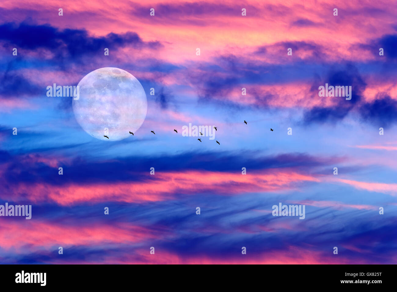 Lune oiseaux nuages cloudscape colorés est une ville dynamique avec des oiseaux qui volent par la lumière de la pleine lune se levant dans le ciel. Banque D'Images