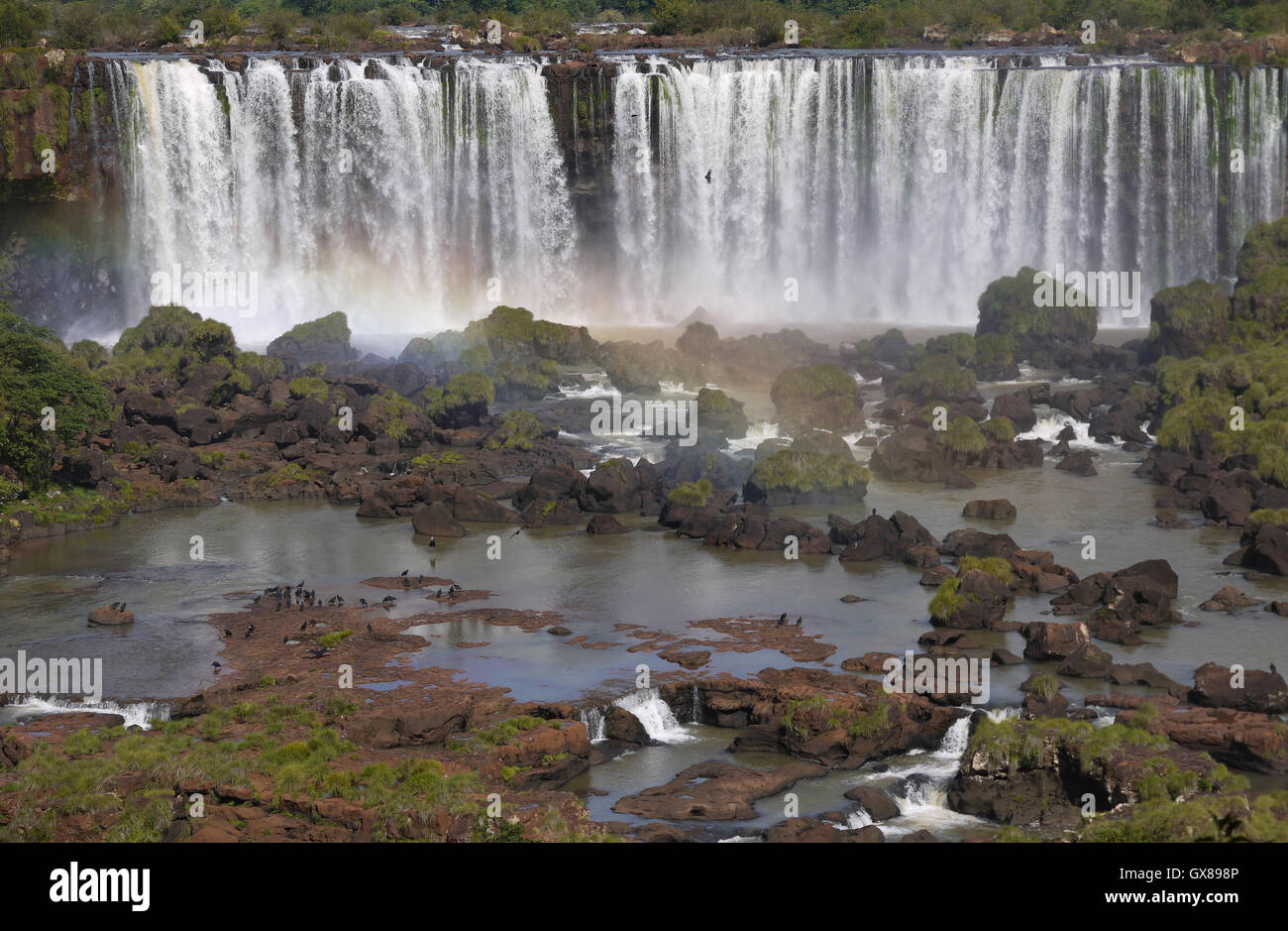 Parc national de l'Iguazu Banque D'Images