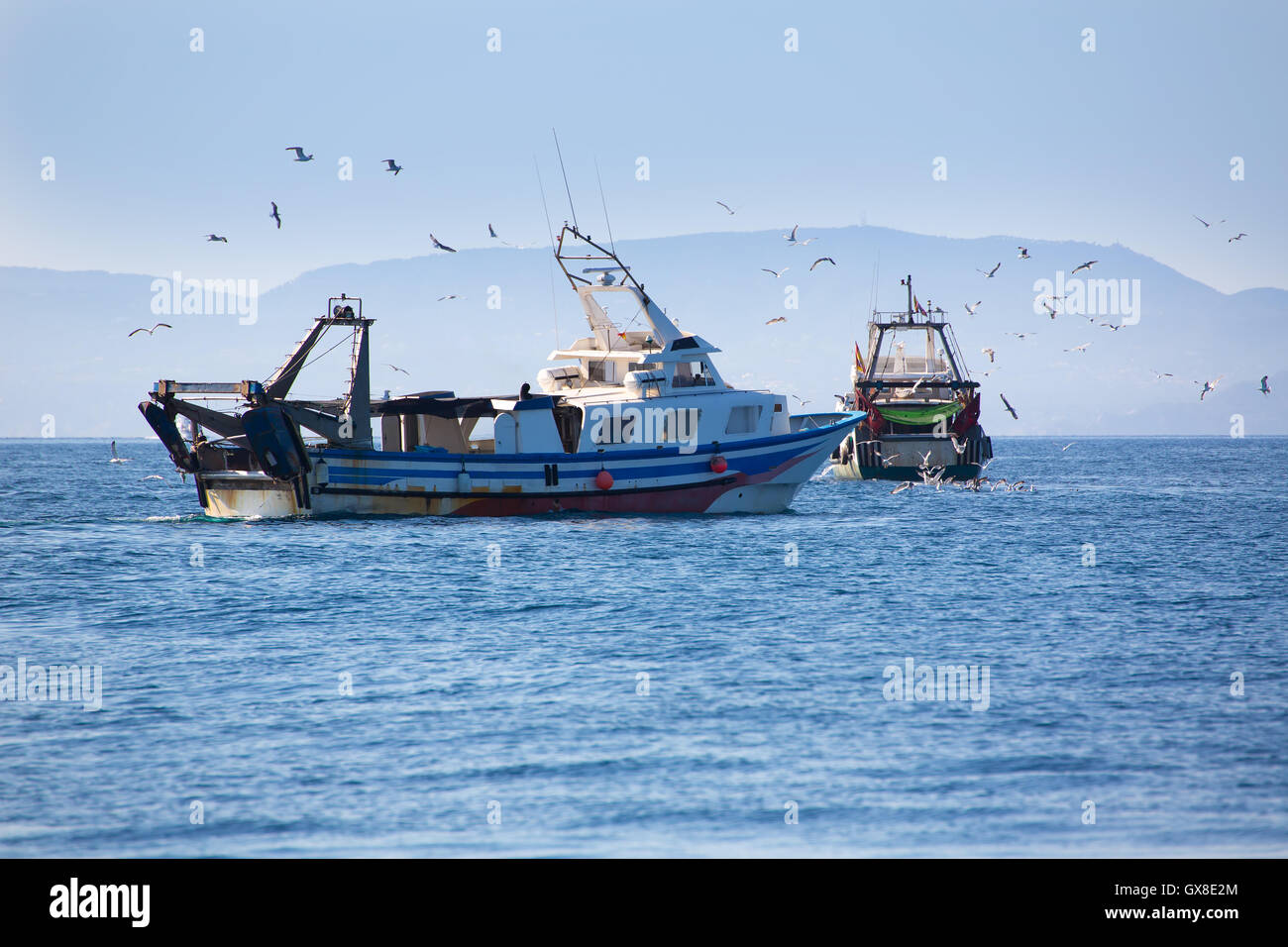 Trwler bateaux avec les mouettes en Ibiza Formentera Banque D'Images