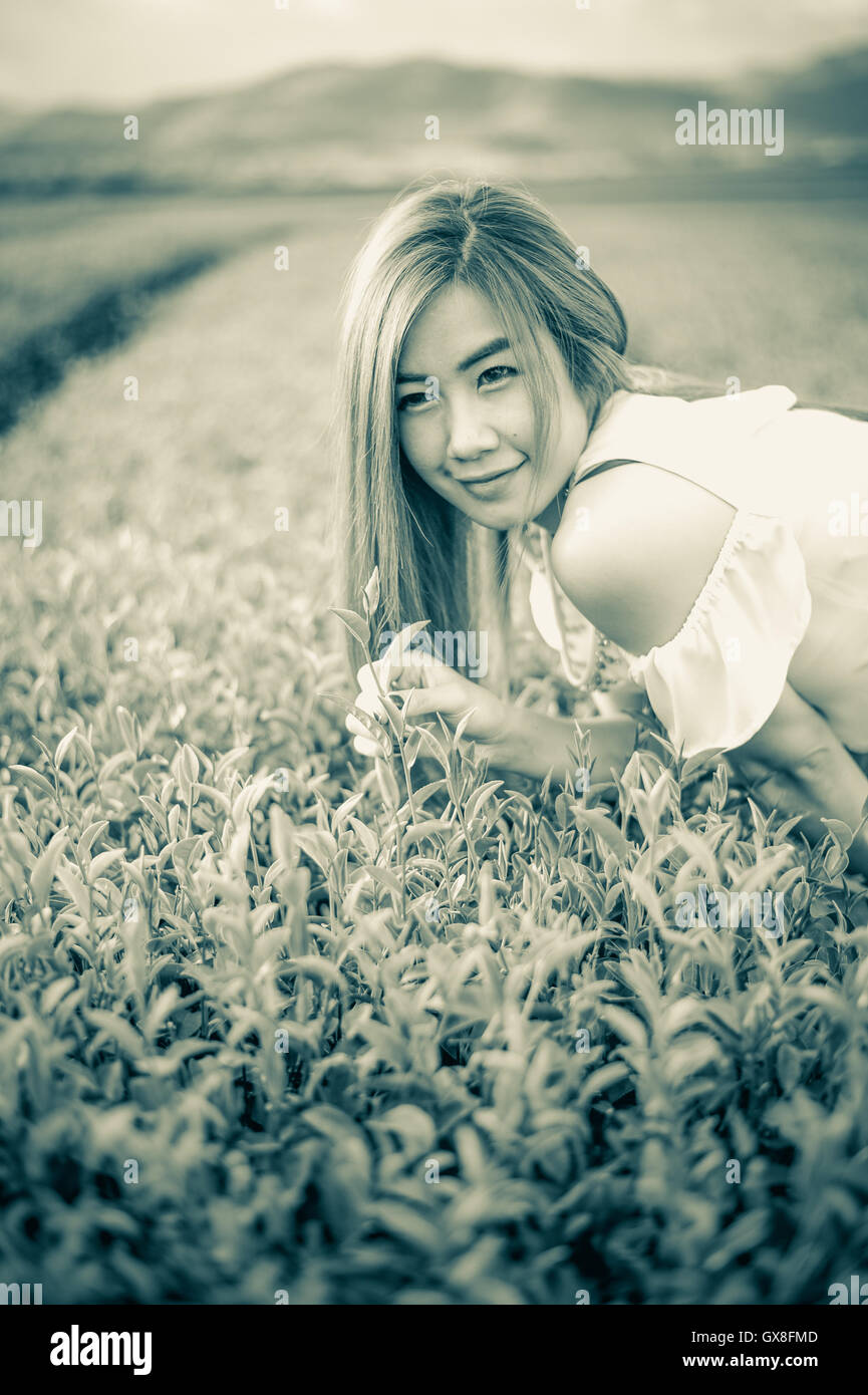 Portrait femme thaïlandaise dans la plantation de thé , Chiangrai Thaïlande Banque D'Images