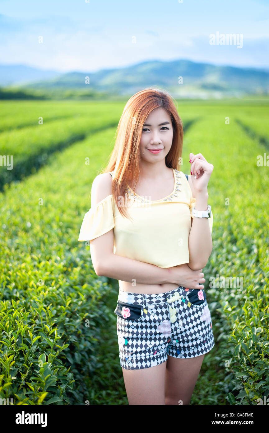 Portrait femme thaïlandaise dans la plantation de thé , Chiangrai Thaïlande Banque D'Images