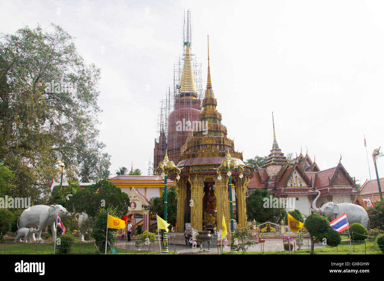 Wat Chang Hai pour Ratburanaram personnes visitent et priez Luang Pu Thuat le 13 juillet 2016 à Pattani provinces du sud de la Thaïlande Banque D'Images