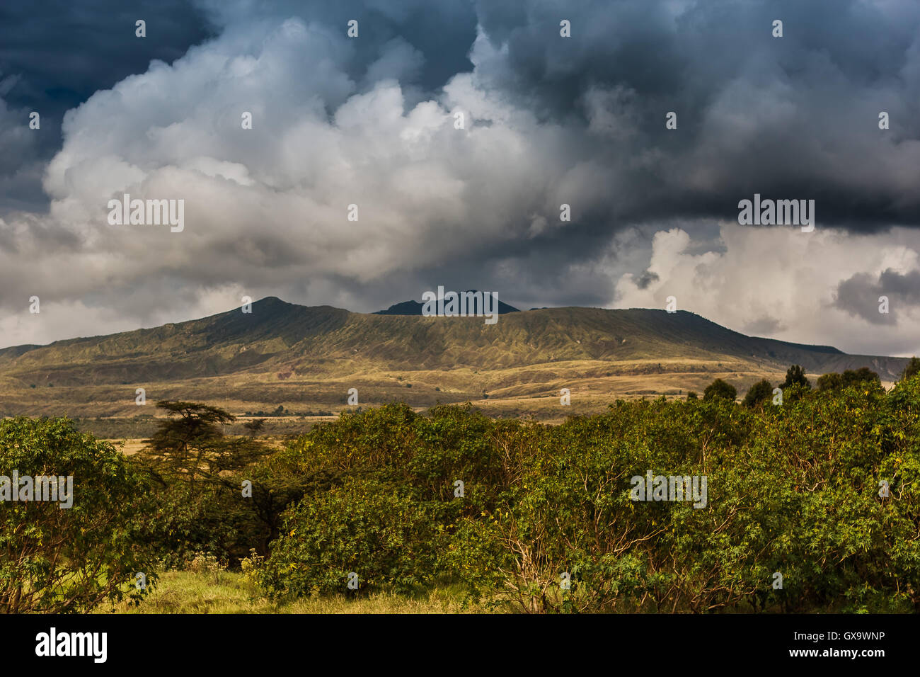 Mont Longonot Banque D'Images