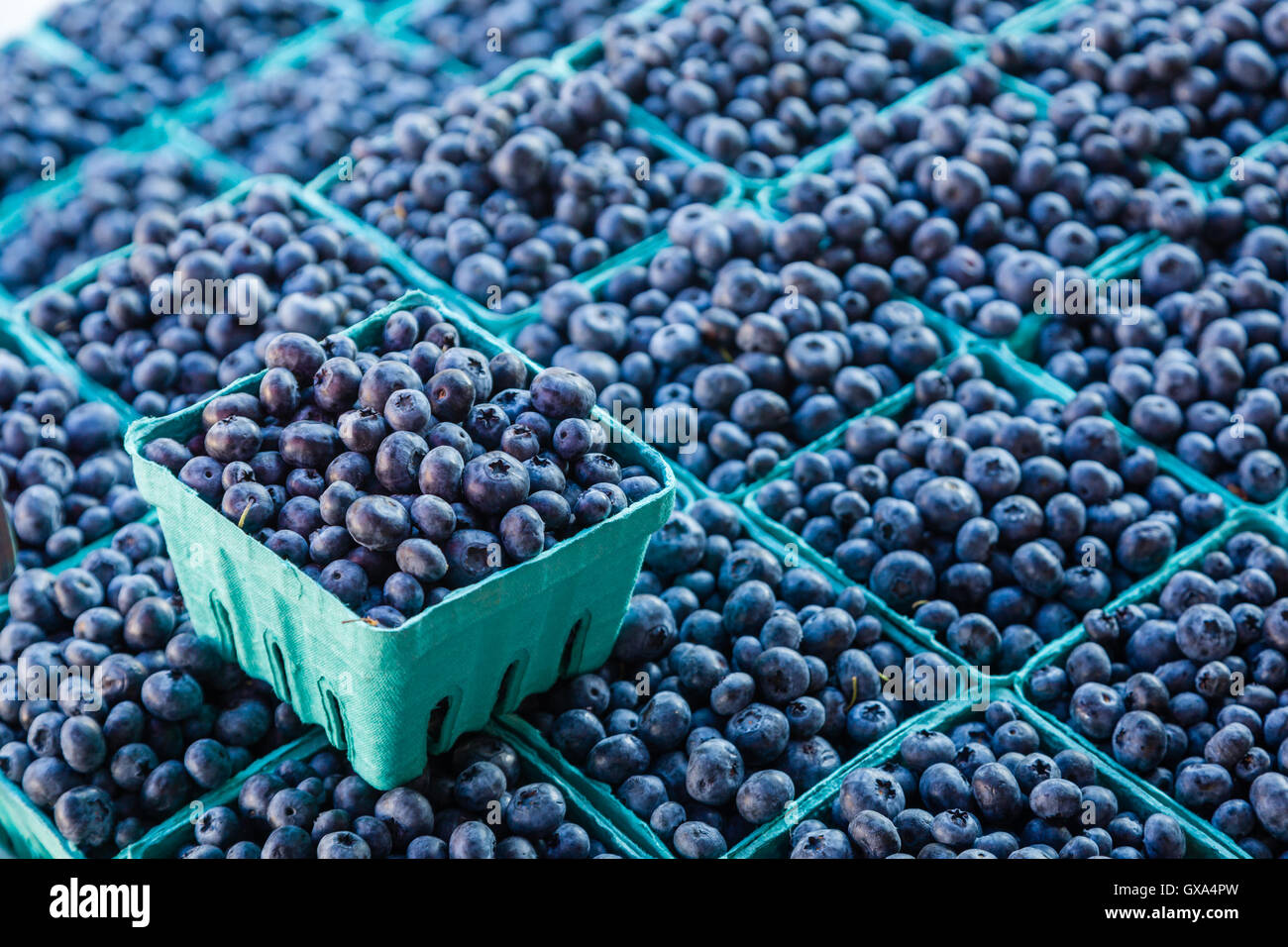 Bleuets frais un air ouvert un marché de fermiers, Banque D'Images