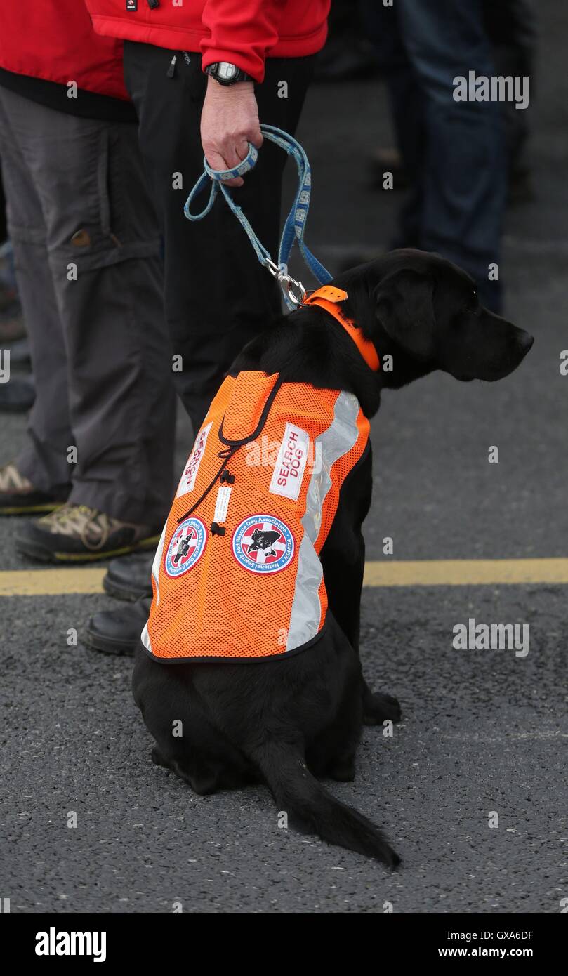 Un chien de recherche et de sauvetage à l'enterrement de bénévoles de la Garde côtière canadienne Caitriona Lucas au St Brigid's Church à Liscannor, dans le comté de Clare, Irlande. Banque D'Images Un chien de recherche et de sauvetage à l'enterrement de bénévoles de la Garde côtière canadienne Caitriona Lucas au St Brigid's Church à Liscannor, dans le comté de Clare, Irlande. Banque D'Images