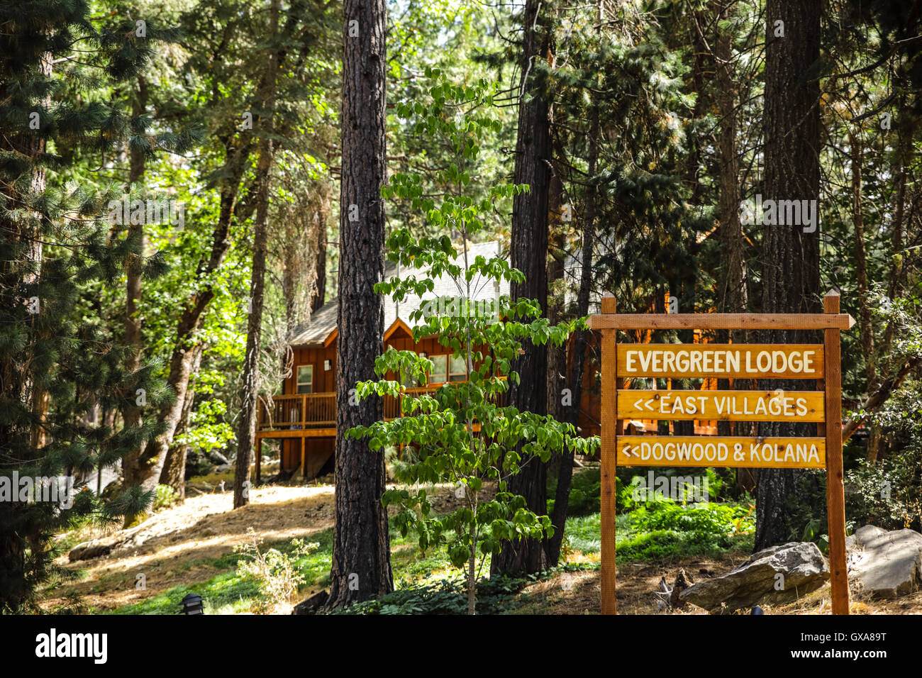Evergreen Lodge at Yosemite National Park Banque D'Images