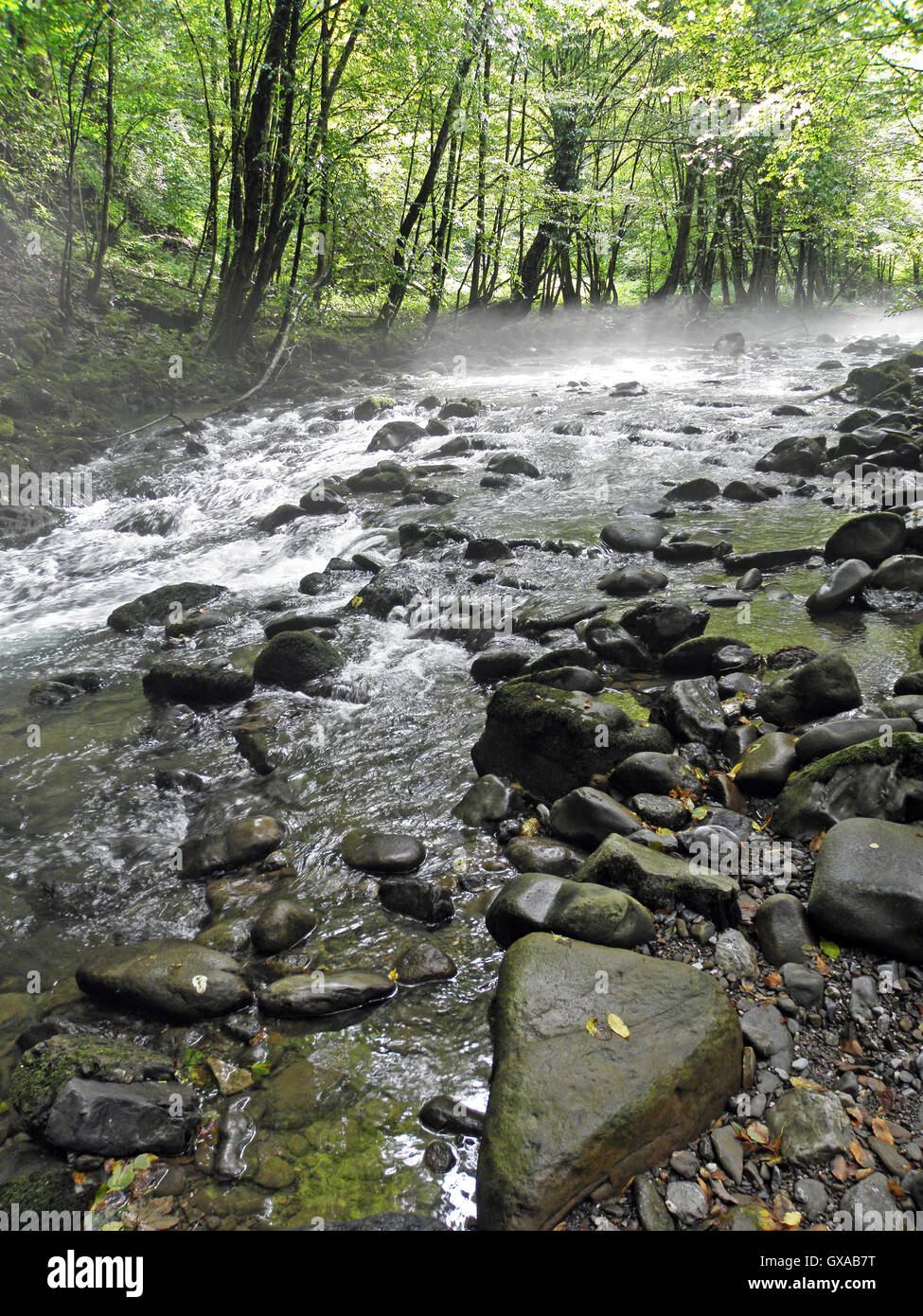 Zeleni vir,canyon,Gorski kotar,Croatie,europe,8 Banque D'Images