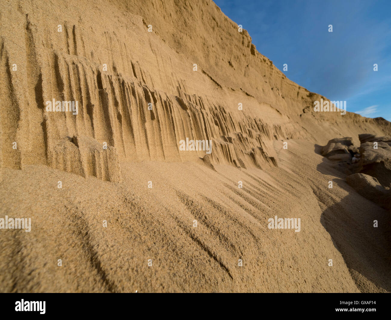 Dune de sable sculptés par le vent. Banque D'Images