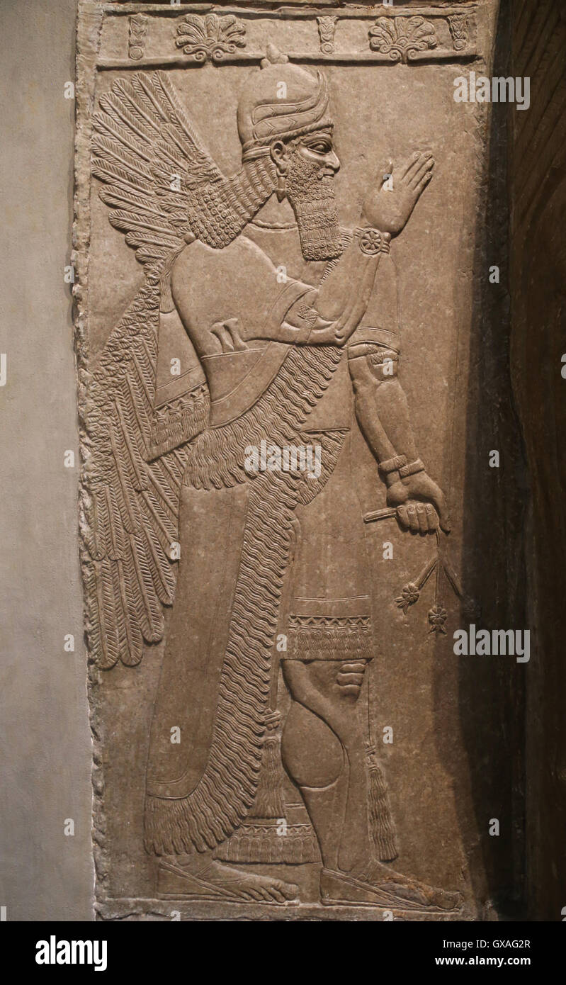 Soulagement avec genius interminable. 9e siècle avant J.-C.. Neo-Assyrian. Règne d'Assurnazirpal. Nimrud (ancienne Kalhu). Le nord de la Mésopotamie. Banque D'Images