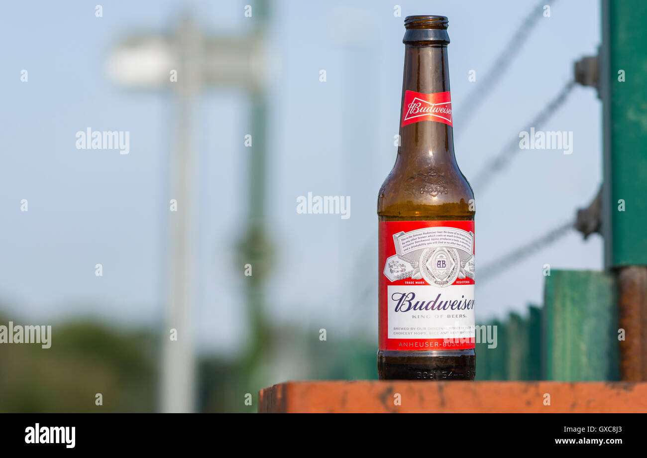 Ivre la moitié de bouteille de bière Budweiser à gauche sur un mur. Banque D'Images