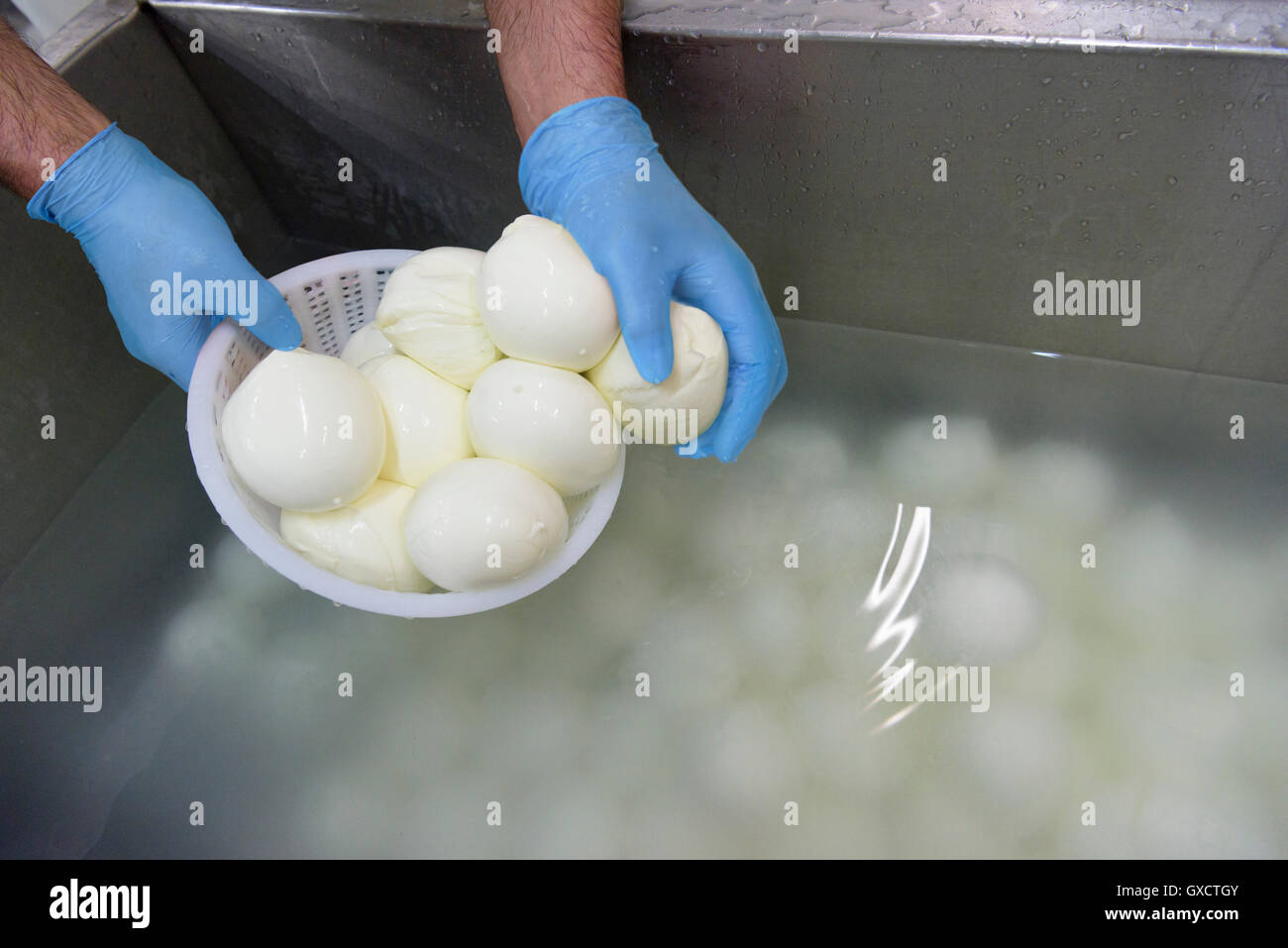 Boules de mozzarella mettre des travailleurs en eau salée au fromage Banque D'Images