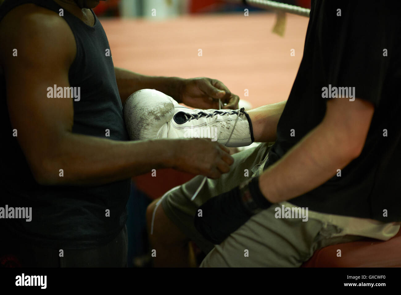 Aider l'entraîneur boxer mettez des gants, mid section Banque D'Images