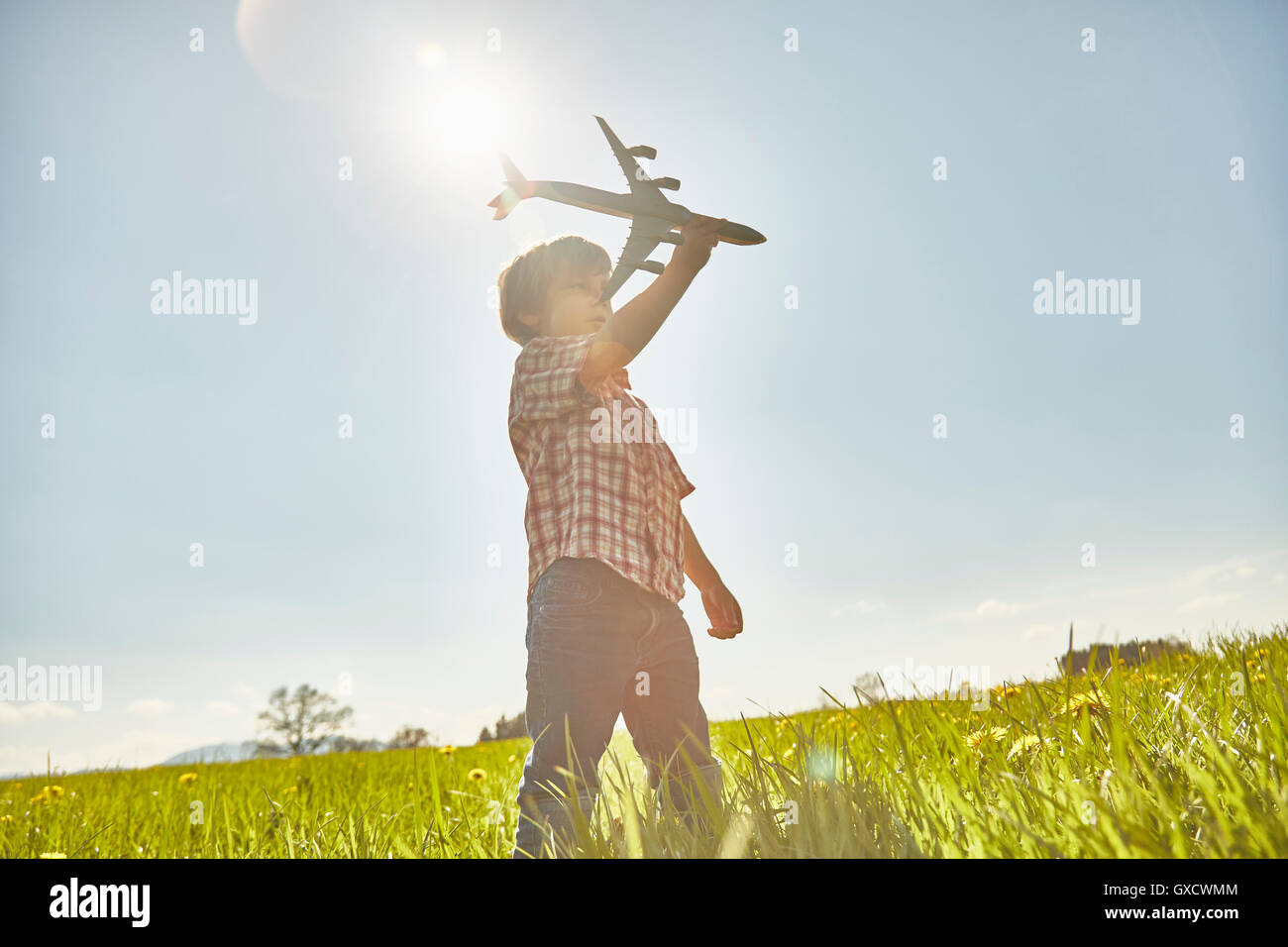 Boy in sunlit champ avec ciel bleu Playing with toy airplane Banque D'Images