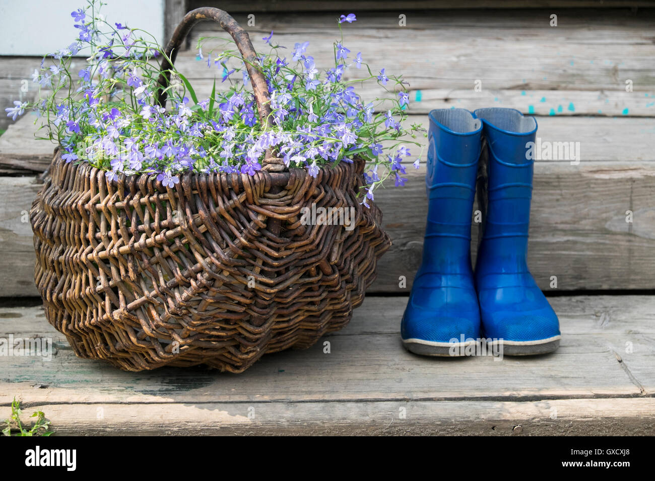Still Life de panier de fleurs à côté de paire de bottes en caoutchouc Banque D'Images