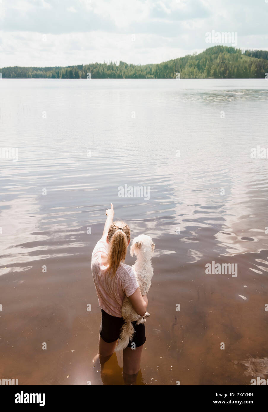 Femme debout dans le lac transportant Coton de Tuléar chien, Orivesi, Finlande Banque D'Images