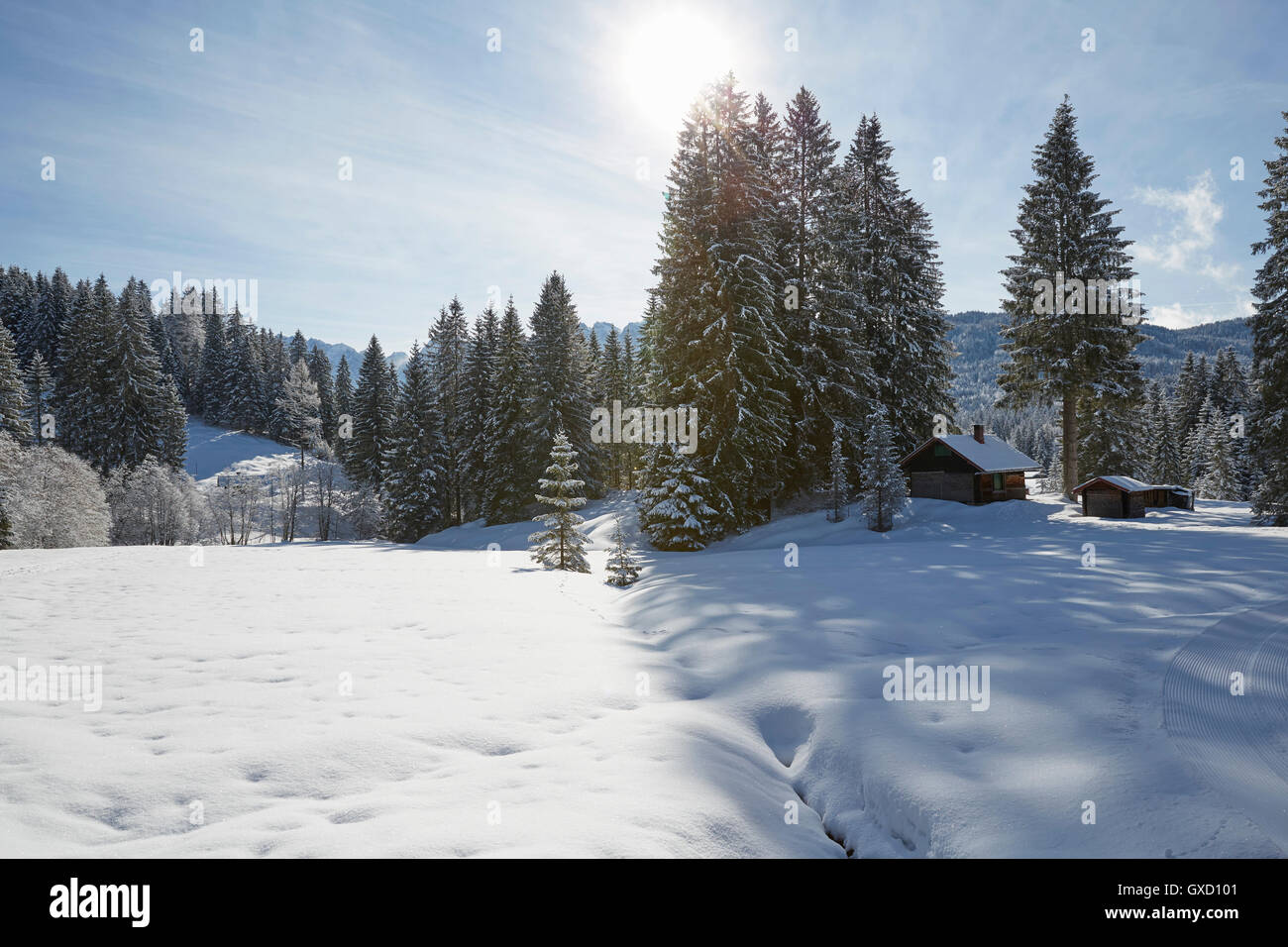 Sapins et log cabin sur paysage couvert de neige, Elmau, Bavière, Allemagne Banque D'Images