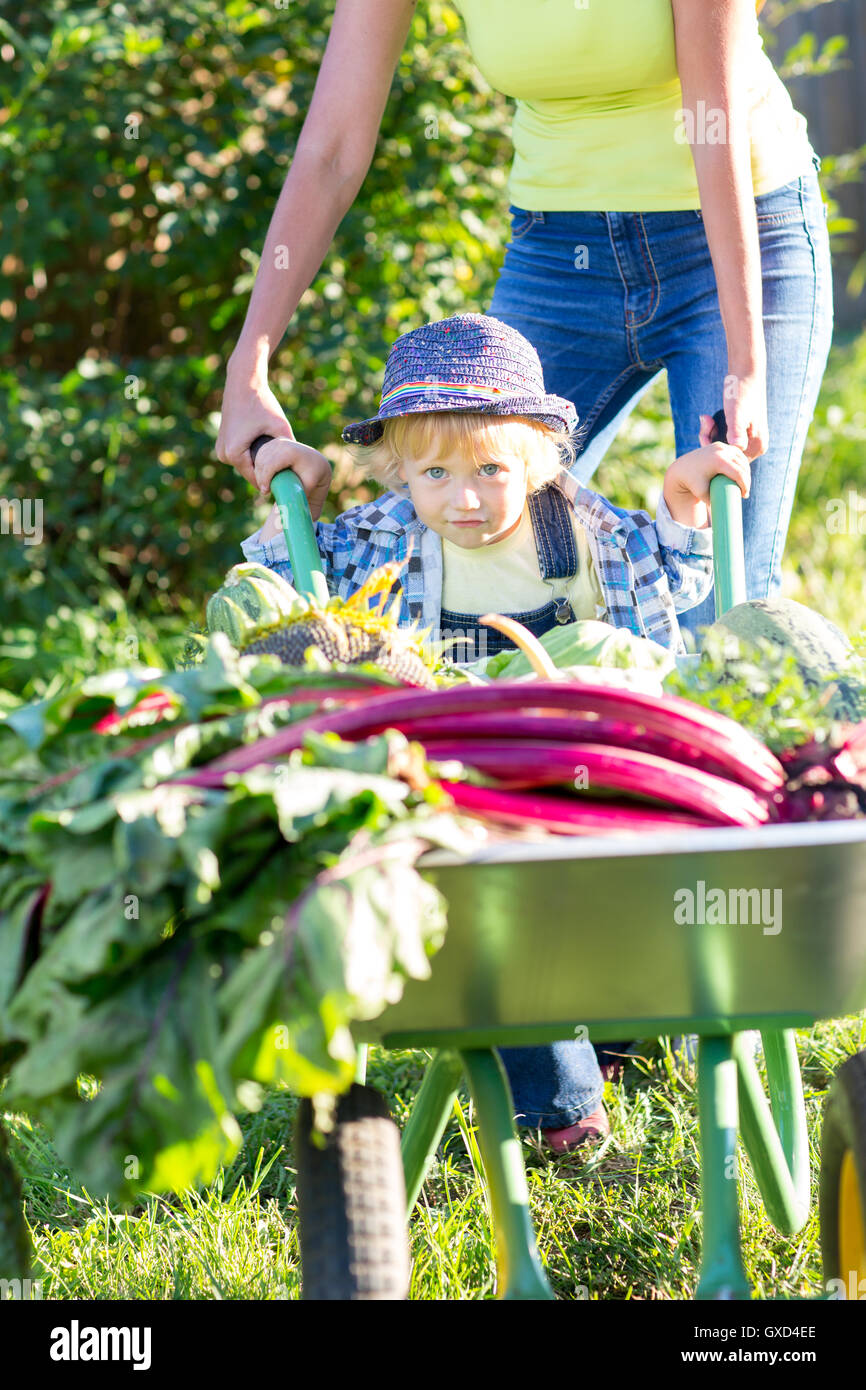 Garçon enfant et de la mère dans le jardin intérieur. Adorable enfant debout près de la brouette avec la récolte. Les légumes biologiques sains pour les enfants Banque D'Images