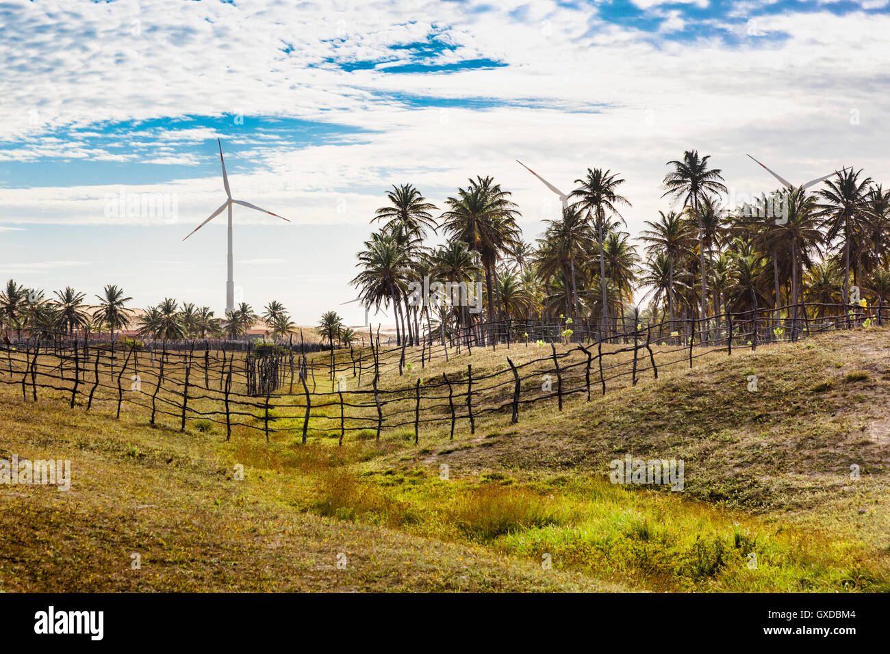 Éoliennes dans le paysage tropical, Taiba, Ceara, Brésil Banque D'Images Éoliennes dans le paysage tropical, Taiba, Ceara, Brésil Banque D'Images