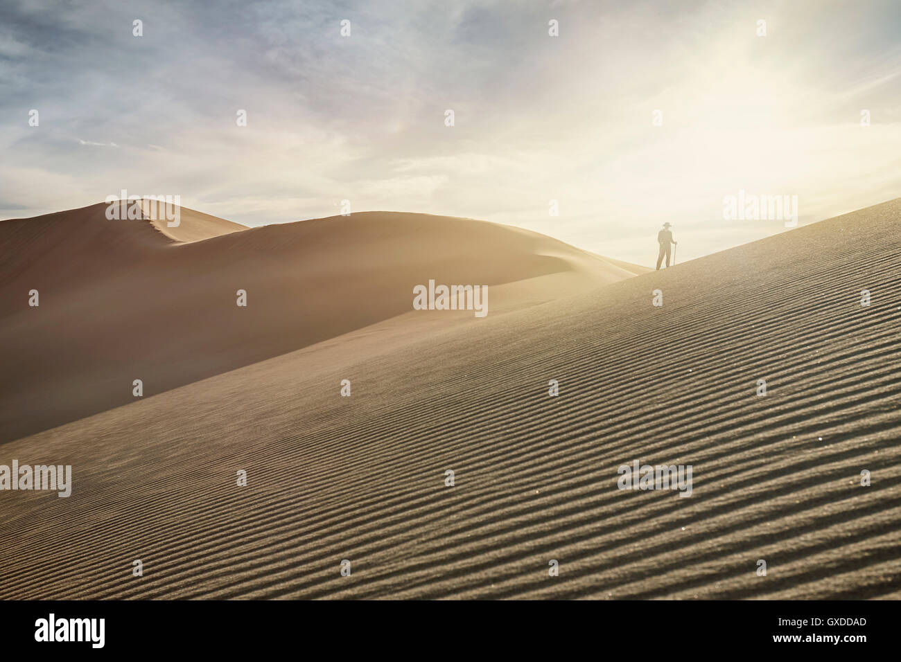 Silhouette femme sur le dessus de la dune au Great Sand Dunes National Park, Colorado, USA Banque D'Images