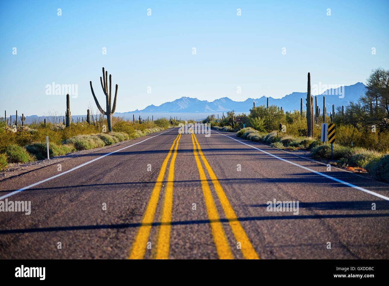 L'autoroute du désert, Cactus tuyau d'Organe National Monument, Arizona, USA Banque D'Images