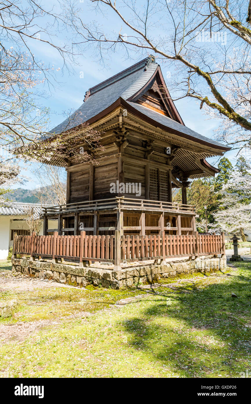 Le Japon, Izushi château. Clochers en bois carrés de culte bâtiment par l'Est Sumiyagura. Ciel bleu et quelques fleurs de cerisiers. Le printemps. Banque D'Images