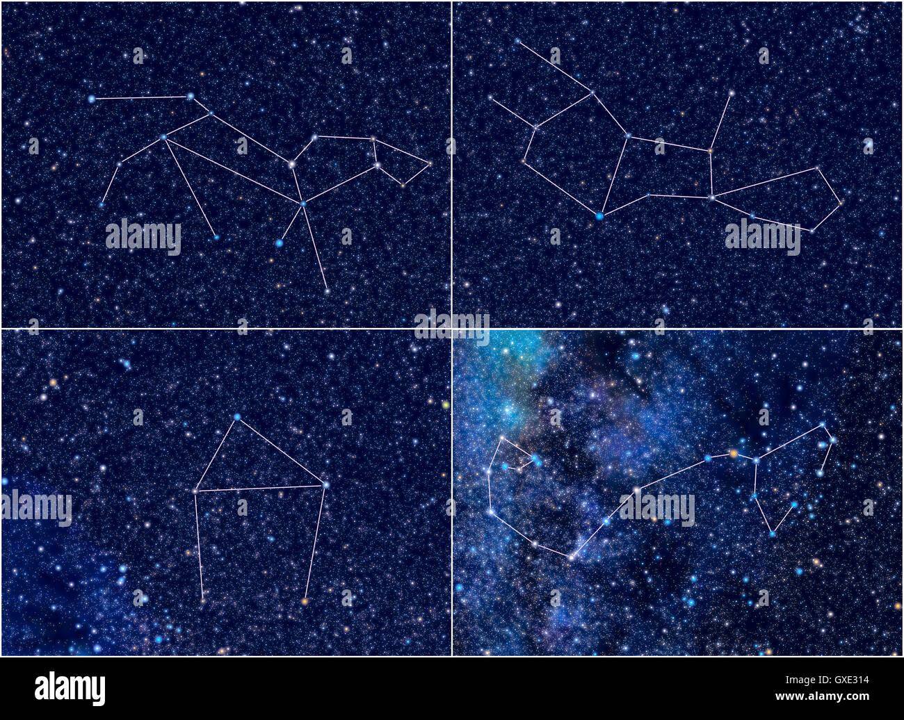 L'espace univers / Astronomie / astrologie abstract background / contexte illustration : quatre constellations de zodiaque. Banque D'Images