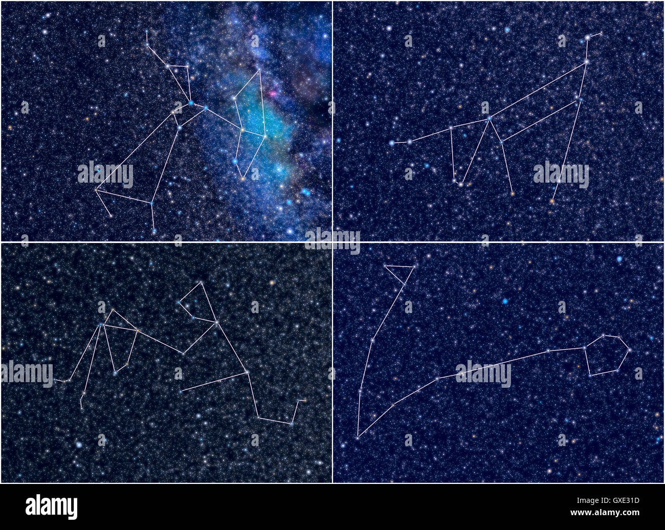 L'espace univers / Astronomie / astrologie abstract background / contexte illustration : quatre constellations de zodiaque. Banque D'Images