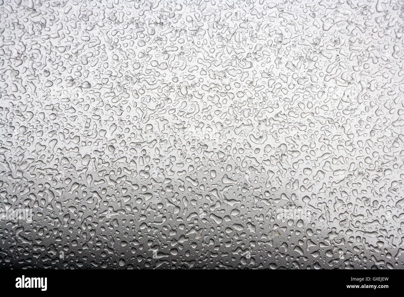 Perles de l'eau congelée après une tempête de neige fondue créer des motifs intéressants sur l'extérieur d'un fini métallique argent automobile. Banque D'Images