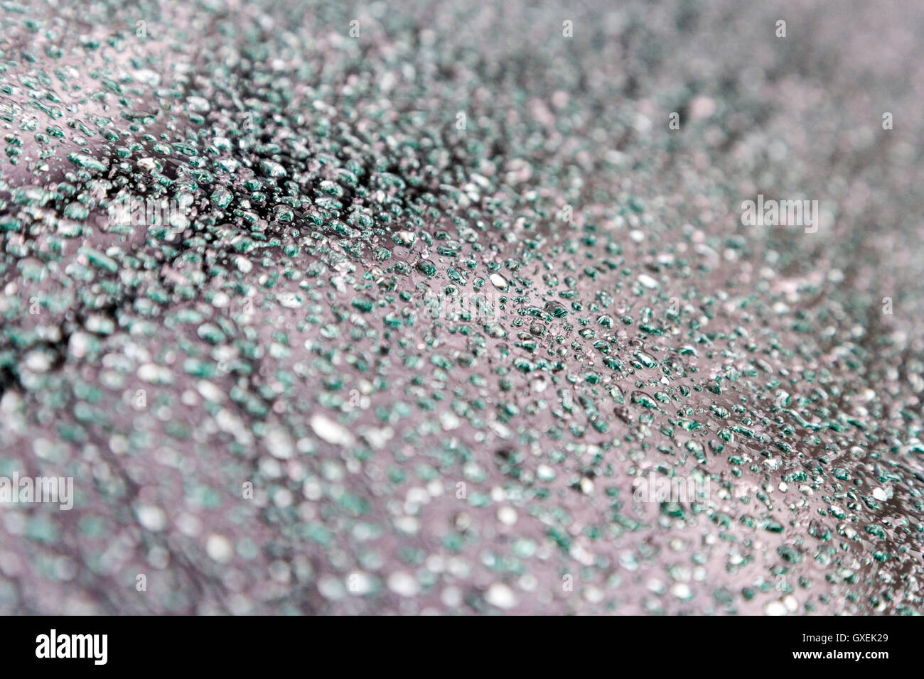 Perles de l'eau congelée après une tempête de neige fondue créer des motifs intéressants sur le windshielf d'une automobile d'argent. Banque D'Images